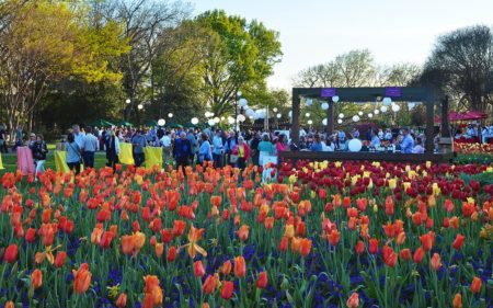 Dallas Arboretum Food and Wine Festival March 26