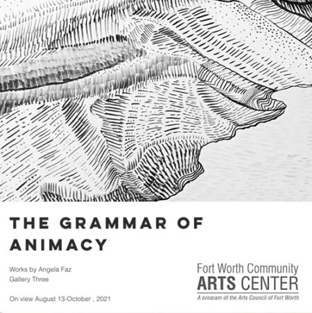 Angela Faz: The Grammar of Animacy