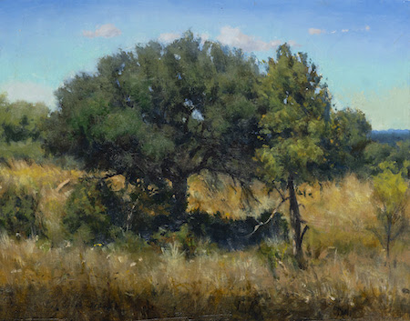 ANNOUNCING: Bob Stuth-Wade “The Comfort of Trees” Jan. 15 – Feb. 19 at Valley House